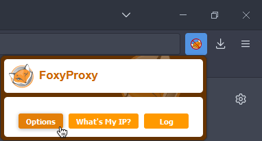 proxy